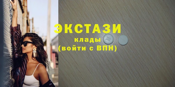 мдпв Бородино