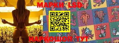 крисы Волгодонск