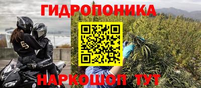 сатива Балахна