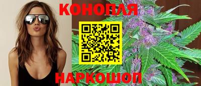крисы Волгодонск