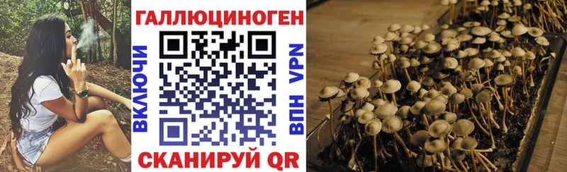 ОМГ ОМГ зеркало  Долгопрудный  Галлюциногенные грибы ЛСД 