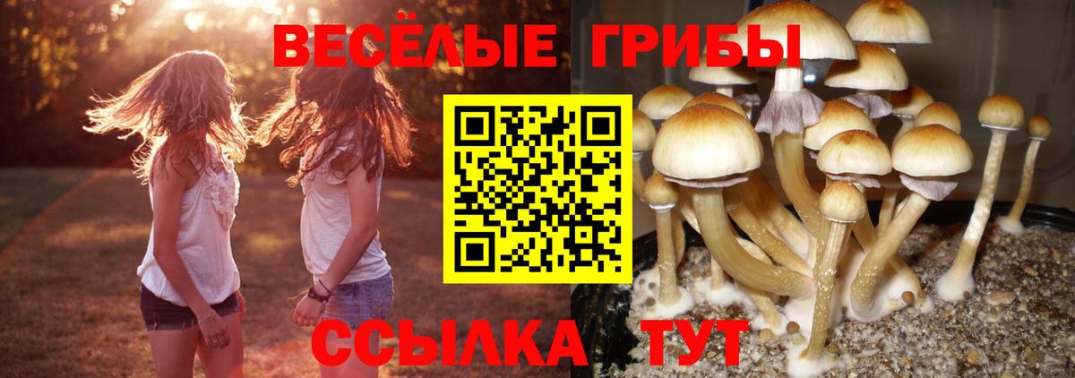 Галлюциногенные грибы MAGIC MUSHROOMS  Вход с VPN  Долгопрудный  Галлюциногенные грибы ЛСД 