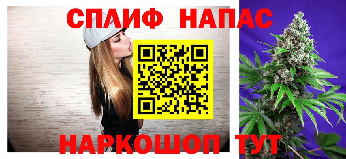 A PVP Долгопрудный